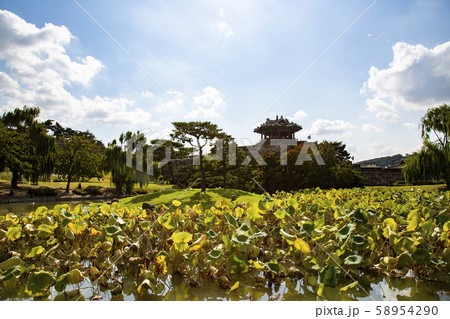 自然 風景 水原華城 58954290