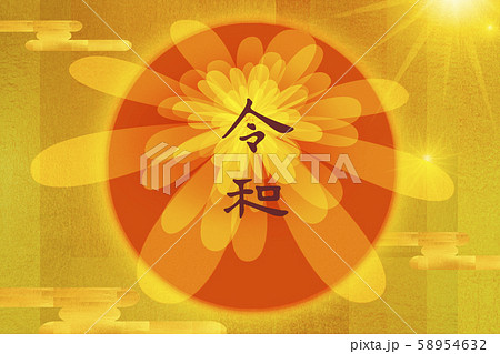 菊 キク 菊の花 58954632