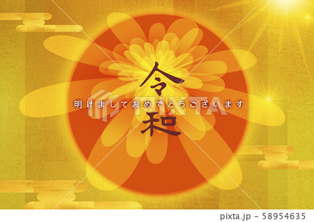 菊 キク 菊の花 58954635