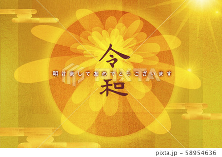 菊 キク 菊の花 58954636