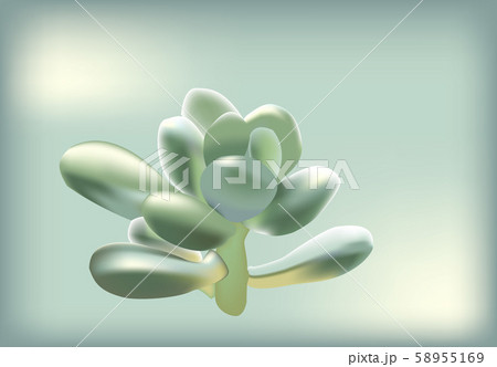 succulents-0013.eps 58955169