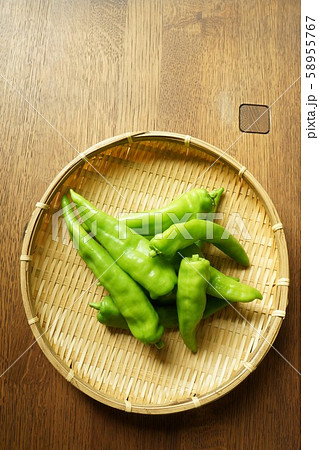 万願寺とうがらし 万願寺とうがらし 58955767