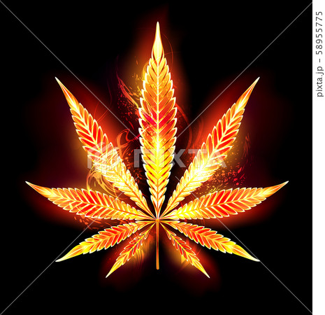 Cannabis Fire Leafのイラスト素材