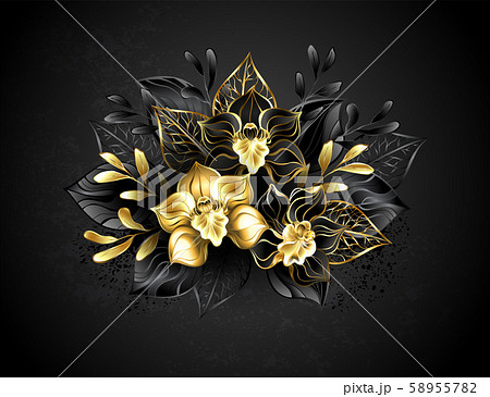 Three jewelry orchids Three jewelry orchids 58955782