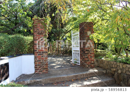 岡本南公園（桜守） 58956813