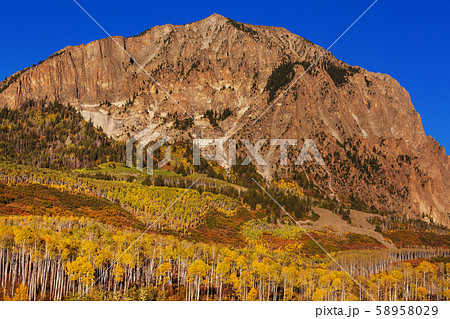 Autumn in Colorado Autumn in Colorado 58958029