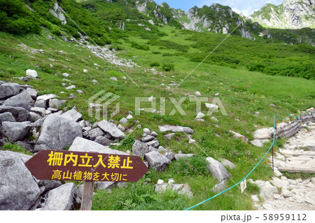千畳敷カールの高山植物を守るための立て札 千畳敷カールの高山植物を守るための立て札 58959112