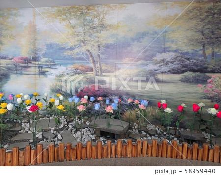 韓国の風景 風景 韓国 58959440