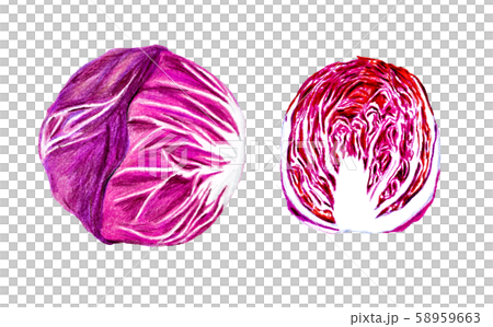 特雷維斯（彩色鉛筆素描） 58959663