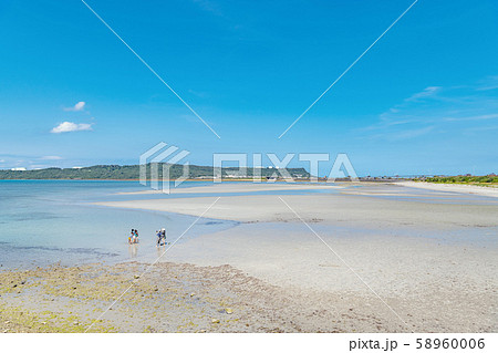 沖縄 あやはし海中道路ビーチ 沖縄 あやはし海中道路ビーチ 58960006