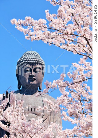 春の桜と牛久大仏 58961485