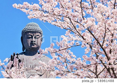 春の桜と牛久大仏 春の桜と牛久大仏 58961488