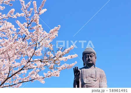 春の桜と牛久大仏 春の桜と牛久大仏 58961491