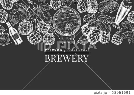 Beer and hop design template. Hand drawn vector Beer and hop design template. Hand drawn vector 58961691