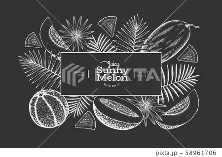 Melons and watermelons with tropical leaves design 58961706