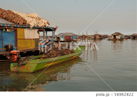 トンレサップ湖 58962822