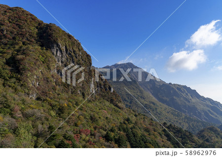 [長崎県]雲仙仁田峠の紅葉 58962976