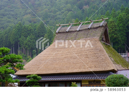 苔むす秋の藁ぶき屋根１ 58963053