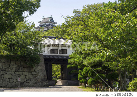和歌山城 岡口門と天守 58963106