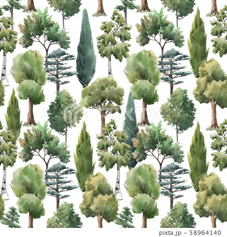 Watercolor tree seamless pattern forest oak fir birch, thuja linden baobab pine 58964140