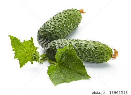 fresh cucumbers 58965518