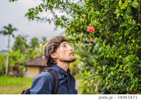 Young man tourist in Bali walks along the narrow cozy streets of Ubud. Bali is a popular tourist Young man tourist in Bali walks along the narrow cozy streets of Ubud. Bali is a popular tourist 58965871