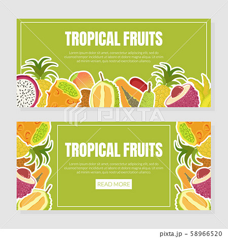 Tropical Fruits Landing Page Template with Fresh Ripe Exotic Fruit Vector Illustration Tropical Fruits Landing Page Template with Fresh Ripe Exotic Fruit Vector Illustration 58966520