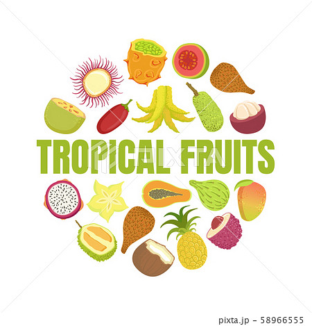 Tropical Fruits Banner Template with Fresh Ripe Exotic Fruit of Round Shape Vector Illustration Tropical Fruits Banner Template with Fresh Ripe Exotic Fruit of Round Shape Vector Illustration 58966555