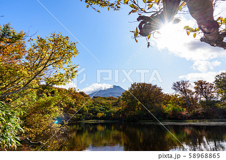 善神沼 善神沼 58968865