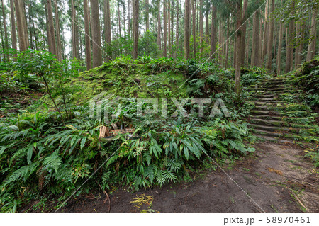 熊野古道・大雲取越　円座石 58970461
