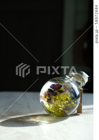 ハーバリウム 58972684