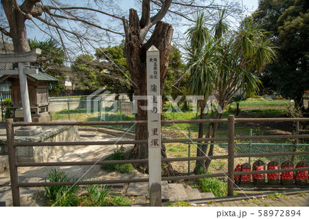 日光街道歩き　越ケ谷宿　蒲生の一里塚 58972894