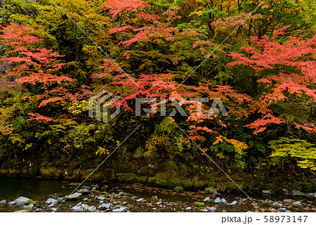 銚子大滝 58973147