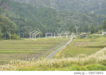 【滋賀県　高島市】在原集落の里山風景 58973603