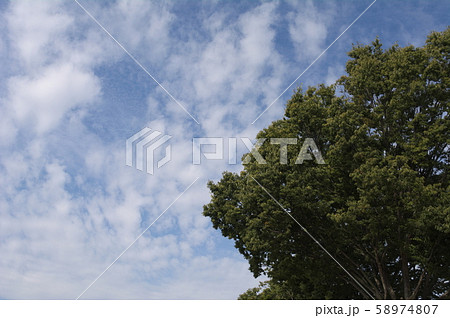 秋空 秋空 58974807