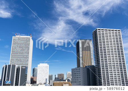 都市風景　東京都豊島区東池袋の高層ビル群 58976012