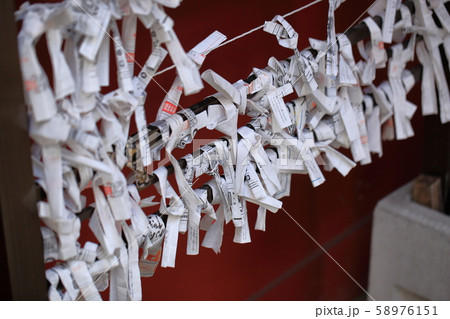 おみくじ５ 58976151