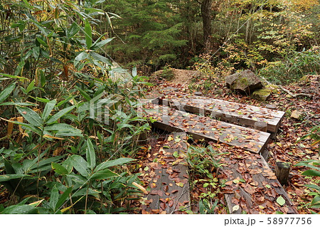 尾瀬 尾瀬 58977756