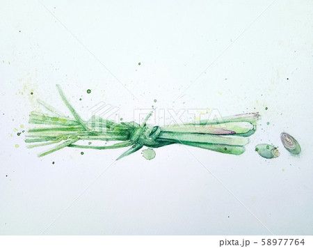 Lemon grass 58977764