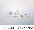 Garlic  58977768