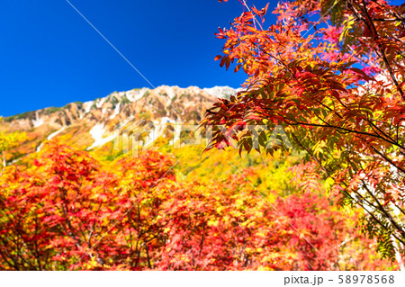 《富山県》紅葉の黒部平・立山黒部アルペンルート 58978568