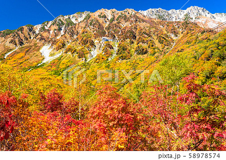 《富山県》紅葉の黒部平・立山黒部アルペンルート 58978574