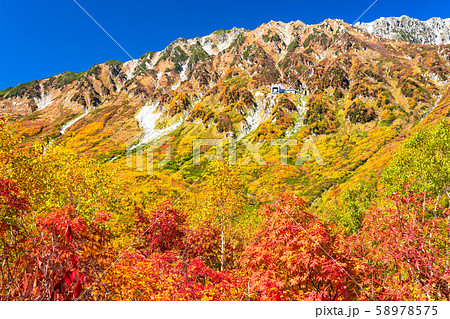 《富山県》紅葉の黒部平・立山黒部アルペンルート 58978575