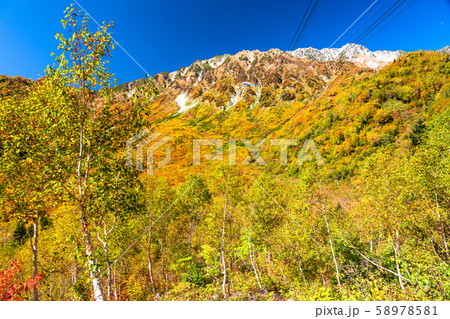《富山県》紅葉の黒部平・立山黒部アルペンルート 58978581