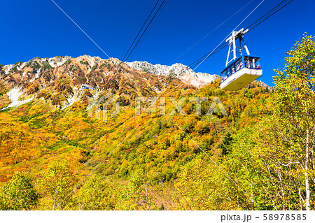 《富山県》紅葉の黒部平・立山黒部アルペンルート 《富山県》紅葉の黒部平・立山黒部アルペンルート 58978585