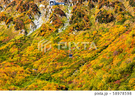 《富山県》紅葉の黒部平・立山黒部アルペンルート 58978598