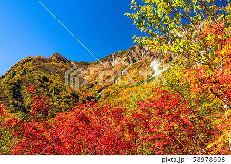 《富山県》紅葉の黒部平・立山黒部アルペンルート 58978608