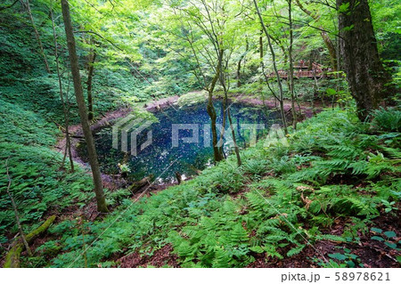 白神山地の青池全景 白神山地の青池全景 58978621
