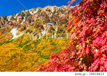 《富山県》紅葉の黒部平・立山黒部アルペンルート 58978625