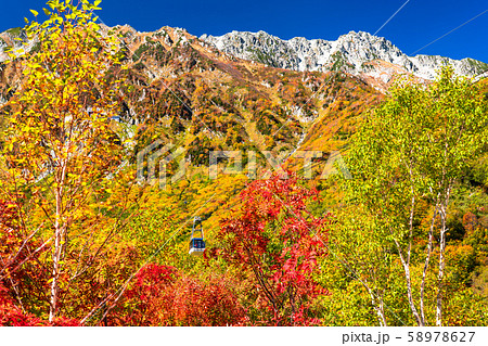 《富山県》紅葉の黒部平・立山黒部アルペンルート 58978627